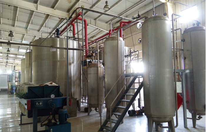 Client visit us about the corn glucose processing plant