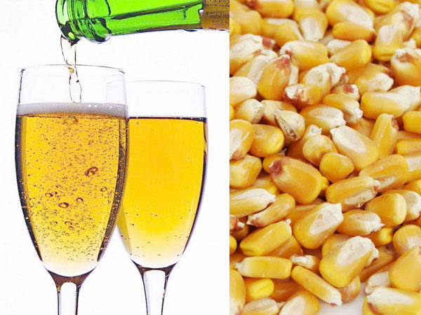 Application of corn syrup in beer brewing