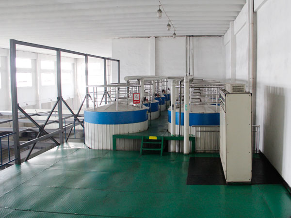 glucose syrup making machine